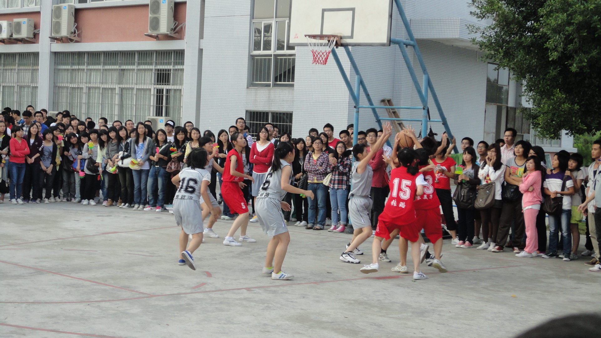 永利集团3044欢迎你