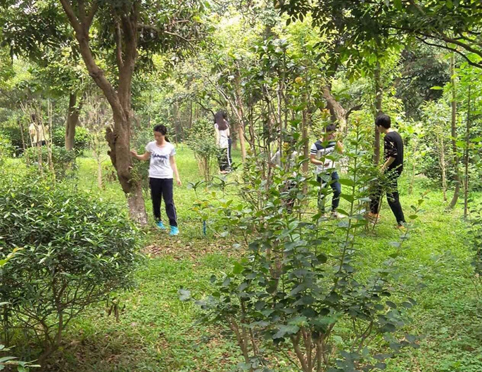 永利集团3044欢迎你