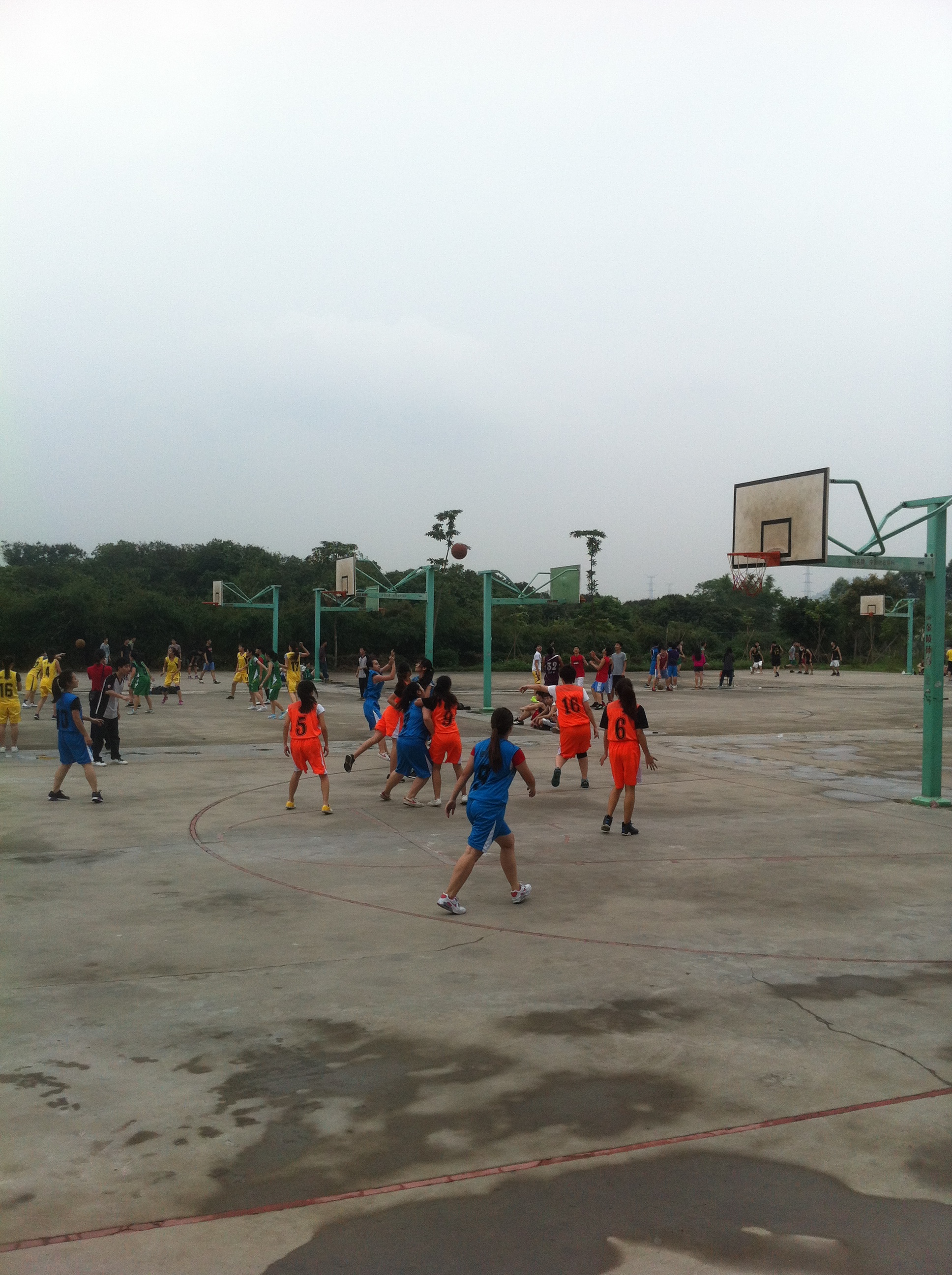 永利集团3044欢迎你